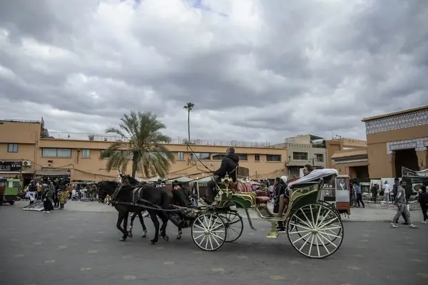 Desert tour from Marrakech to Zagora